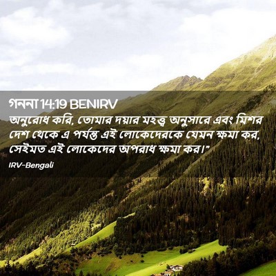 Picture 02 - গননা 14:19 BENIRV - অনুরোধ করি, তোমার - Bible Verse Picture