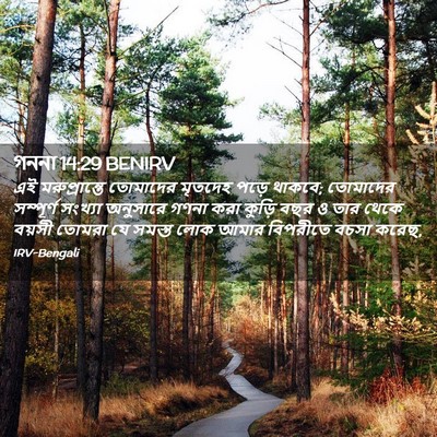 Picture 02 - গননা 14:29 BENIRV - এই মরুপ্রান্তে - Bible Verse Picture