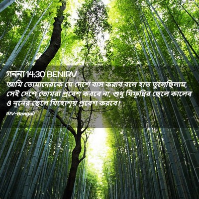 Picture 02 - গননা 14:30 BENIRV - আমি তোমাদেরকে যে - Bible Verse Picture