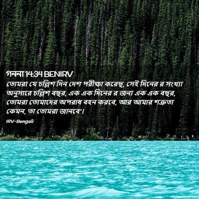 Picture 02 - গননা 14:34 BENIRV - তোমরা যে চল্লিশ - Bible Verse Picture