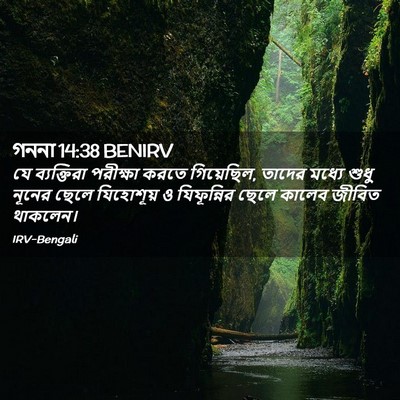 Picture 02 - গননা 14:38 BENIRV - যে ব্যক্তিরা - Bible Verse Picture