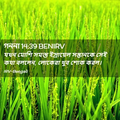 Picture 02 - গননা 14:39 BENIRV - যখন মোশি সমস্ত - Bible Verse Picture