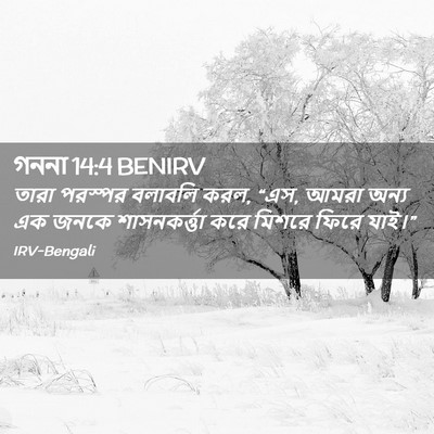 Picture 02 - গননা 14:4 BENIRV - তারা পরস্পর - Bible Verse Picture