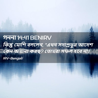 Picture 02 - গননা 14:41 BENIRV - কিন্তু মোশি বললেন, - Bible Verse Picture