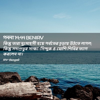 Picture 02 - গননা 14:44 BENIRV - কিন্তু তারা - Bible Verse Picture