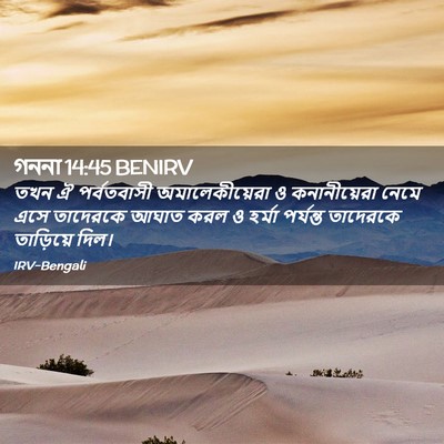 Picture 02 - গননা 14:45 BENIRV - তখন ঐ পর্বতবাসী - Bible Verse Picture