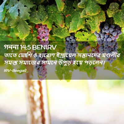 Picture 02 - গননা 14:5 BENIRV - তাতে মোশি ও হারোণ - Bible Verse Picture