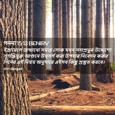 Picture 02 - গননা 15:13 BENIRV - ইস্রায়েলে - Bible Verse Picture