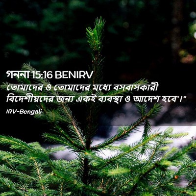 Picture 02 - গননা 15:16 BENIRV - তোমাদের ও তোমাদের - Bible Verse Picture