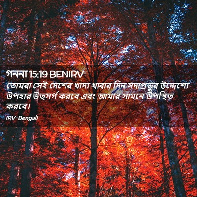 Picture 02 - গননা 15:19 BENIRV - তোমরা সেই দেশের - Bible Verse Picture