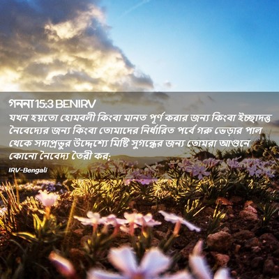 Picture 02 - গননা 15:3 BENIRV - যখন হয়তো হোমবলী - Bible Verse Picture