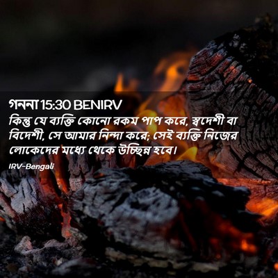 Picture 02 - গননা 15:30 BENIRV - কিন্তু যে ব্যক্তি - Bible Verse Picture