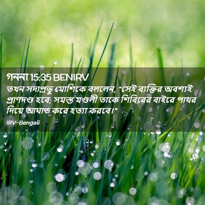 Picture 02 - গননা 15:35 BENIRV - তখন সদাপ্রভু - Bible Verse Picture