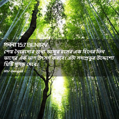 Picture 02 - গননা 15:7 BENIRV - পেয় নৈবেদ্যের - Bible Verse Picture