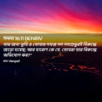 Picture 02 - গননা 16:11 BENIRV - তার জন্য তুমি ও - Bible Verse Picture