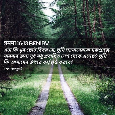 Picture 02 - গননা 16:13 BENIRV - এটা কি খুব ছোট - Bible Verse Picture