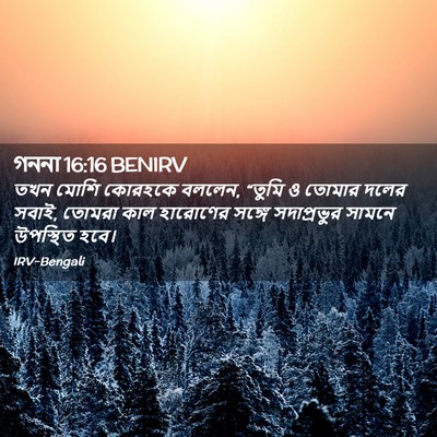 Picture 02 - গননা 16:16 BENIRV - তখন মোশি কোরহকে - Bible Verse Picture