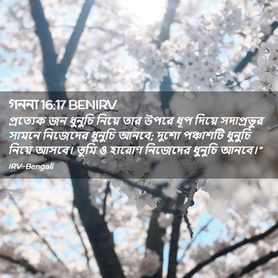 Picture 02 - গননা 16:17 BENIRV - প্রত্যেক জন - Bible Verse Picture