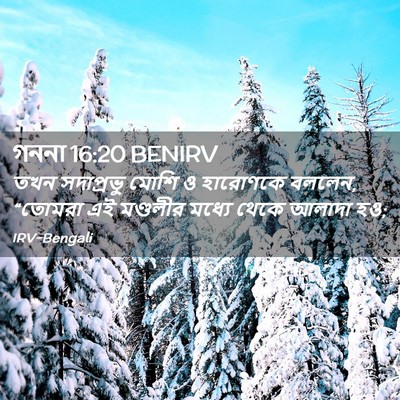 Picture 02 - গননা 16:20 BENIRV - তখন সদাপ্রভু মোশি - Bible Verse Picture