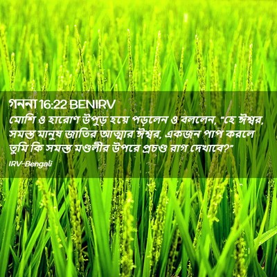 Picture 02 - গননা 16:22 BENIRV - মোশি ও হারোণ উপুড় - Bible Verse Picture