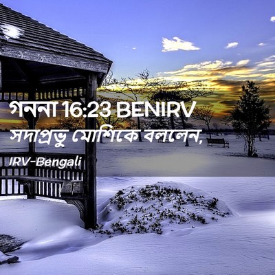 Picture 02 - গননা 16:23 BENIRV - সদাপ্রভু মোশিকে - Bible Verse Picture