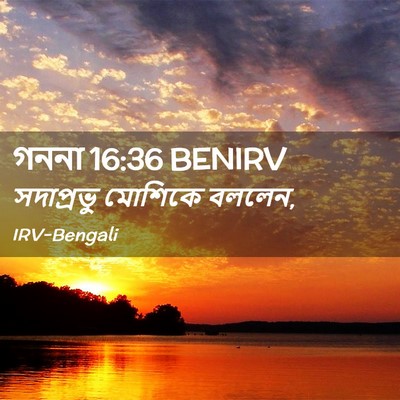 Picture 02 - গননা 16:36 BENIRV - সদাপ্রভু মোশিকে - Bible Verse Picture
