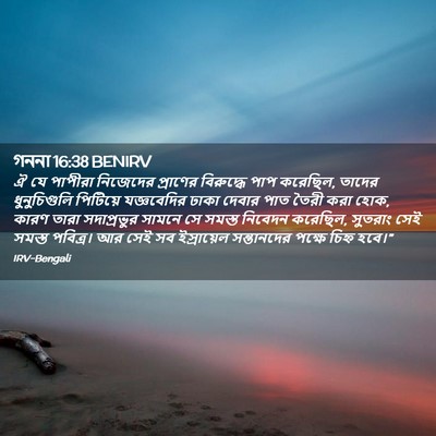 Picture 02 - গননা 16:38 BENIRV - ঐ যে পাপীরা - Bible Verse Picture
