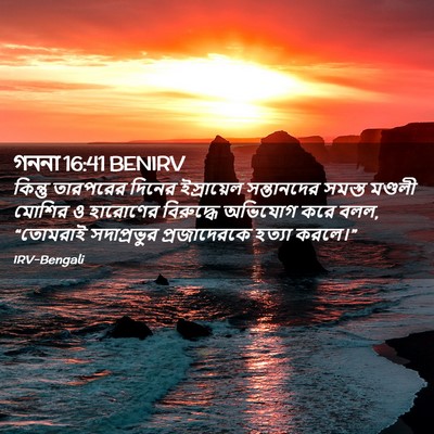 Picture 02 - গননা 16:41 BENIRV - কিন্তু তারপরের - Bible Verse Picture