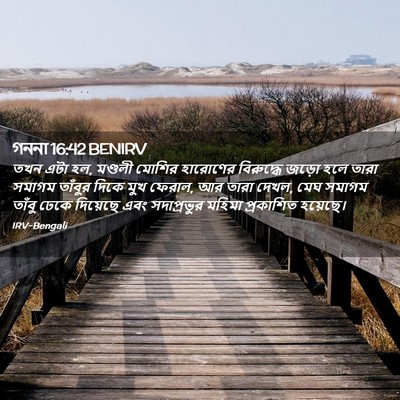 Picture 02 - গননা 16:42 BENIRV - তখন এটা হল, মণ্ডলী - Bible Verse Picture