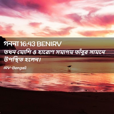 Picture 02 - গননা 16:43 BENIRV - তখন মোশি ও হারোণ - Bible Verse Picture