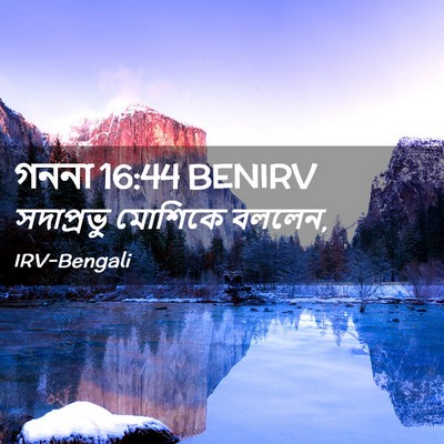 Picture 02 - গননা 16:44 BENIRV - সদাপ্রভু মোশিকে - Bible Verse Picture