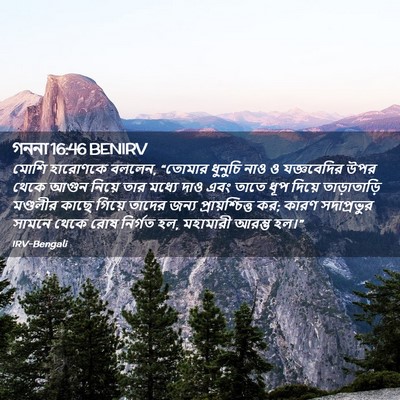 Picture 02 - গননা 16:46 BENIRV - মোশি হারোণকে - Bible Verse Picture