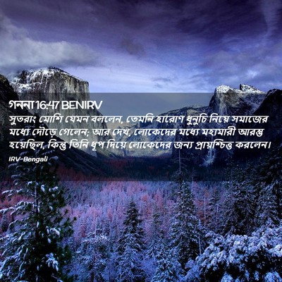 Picture 02 - গননা 16:47 BENIRV - সুতরাং মোশি যেমন - Bible Verse Picture