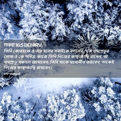 Picture 02 - গননা 16:5 BENIRV - তিনি কোরহকে ও তার - Bible Verse Picture
