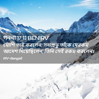 Picture 02 - গননা 17:11 BENIRV - মোশি তাই করলেন; - Bible Verse Picture