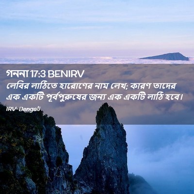 Picture 02 - গননা 17:3 BENIRV - লেবির লাঠিতে - Bible Verse Picture