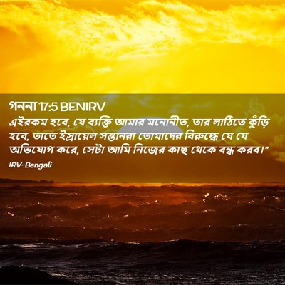 Picture 02 - গননা 17:5 BENIRV - এইরকম হবে, যে - Bible Verse Picture