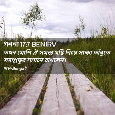 Picture 02 - গননা 17:7 BENIRV - তখন মোশি ঐ সমস্ত - Bible Verse Picture