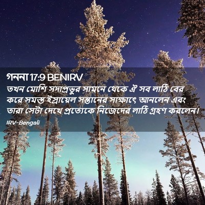 Picture 02 - গননা 17:9 BENIRV - তখন মোশি - Bible Verse Picture