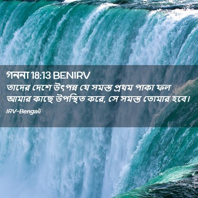 Picture 02 - গননা 18:13 BENIRV - তাদের দেশে উৎপন্ন - Bible Verse Picture
