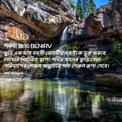 Picture 02 - গননা 18:16 BENIRV - তুমি এক মাস বয়সী - Bible Verse Picture