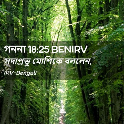 Picture 02 - গননা 18:25 BENIRV - সদাপ্রভু মোশিকে - Bible Verse Picture
