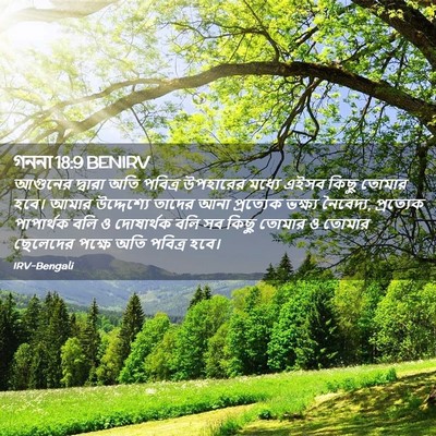 Picture 02 - গননা 18:9 BENIRV - আগুনের দ্বারা অতি - Bible Verse Picture