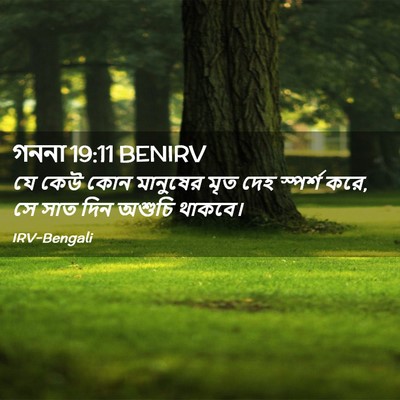 Picture 02 - গননা 19:11 BENIRV - যে কেউ কোন মানুষের - Bible Verse Picture