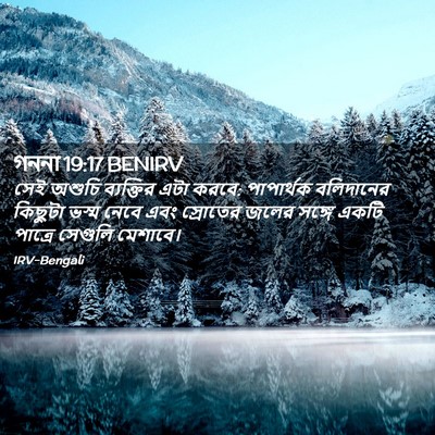 Picture 02 - গননা 19:17 BENIRV - সেই অশুচি - Bible Verse Picture