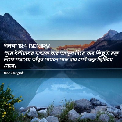 Picture 02 - গননা 19:4 BENIRV - পরে ইলীয়াসর যাজক - Bible Verse Picture