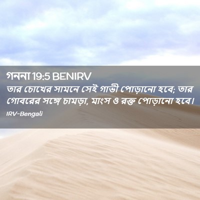 Picture 02 - গননা 19:5 BENIRV - তার চোখের সামনে - Bible Verse Picture