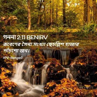 Picture 02 - গননা 2:11 BENIRV - রূবেণের সৈন্য - Bible Verse Picture