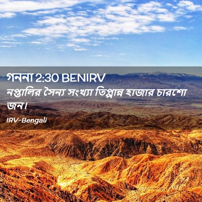 Picture 02 - গননা 2:30 BENIRV - নপ্তালির সৈন্য - Bible Verse Picture