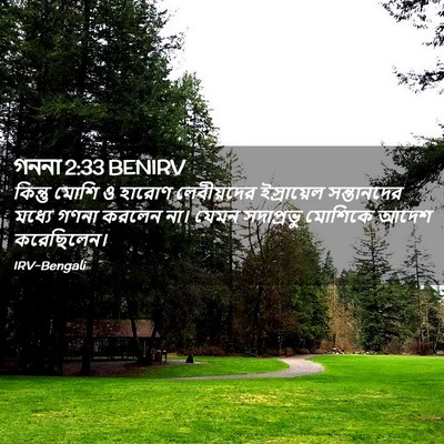 Picture 02 - গননা 2:33 BENIRV - কিন্তু মোশি ও - Bible Verse Picture
